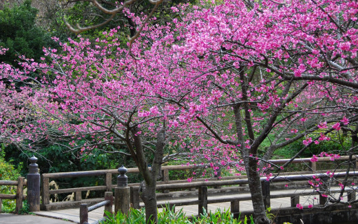 475736 (a): :2560x1600